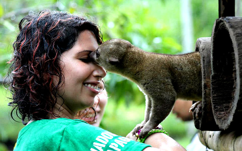 voluntariado-medio-ambiente-america-latina