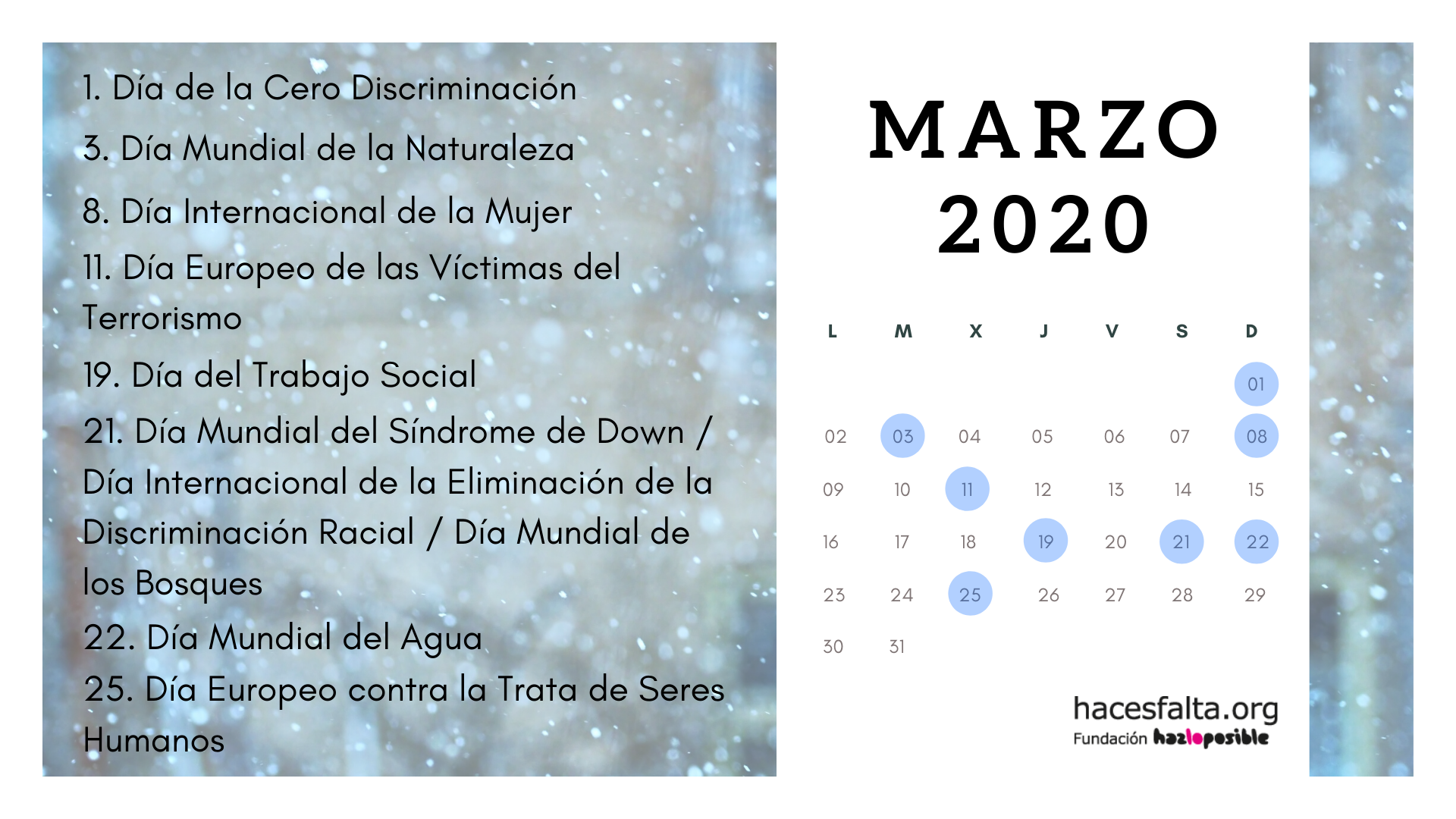 Marzo_solidario