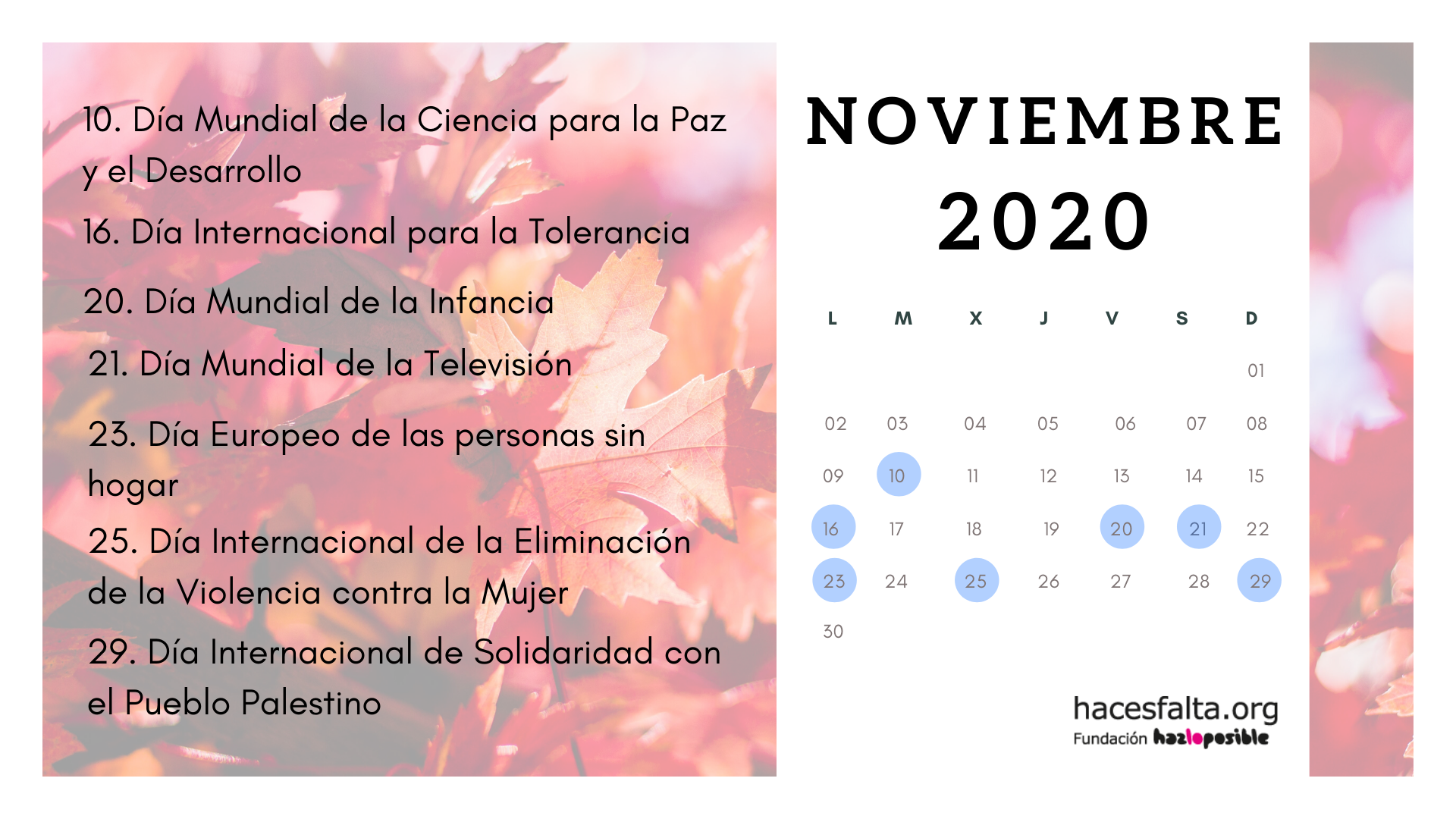 noviembre_solidario